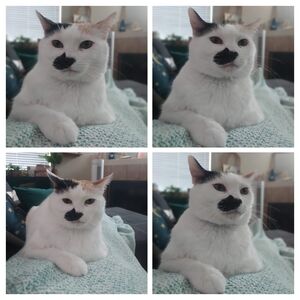 Meet your Posher, Christina